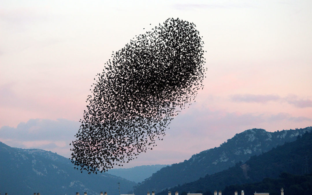 Emergence from Complex Systems