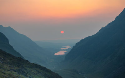 Lockdown: A Moment of Rebirth