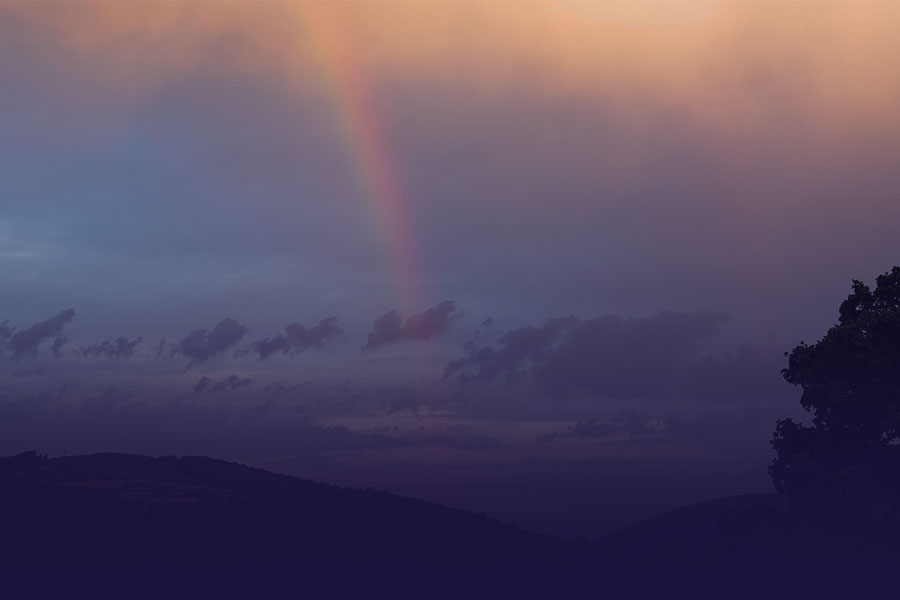my-rainbow-900-OPT