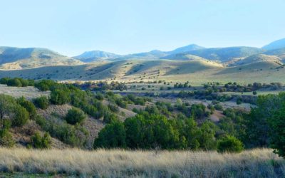 ReBirthing Civilisation: a Pattern for a new governance with Benjamin Ross of One Nation