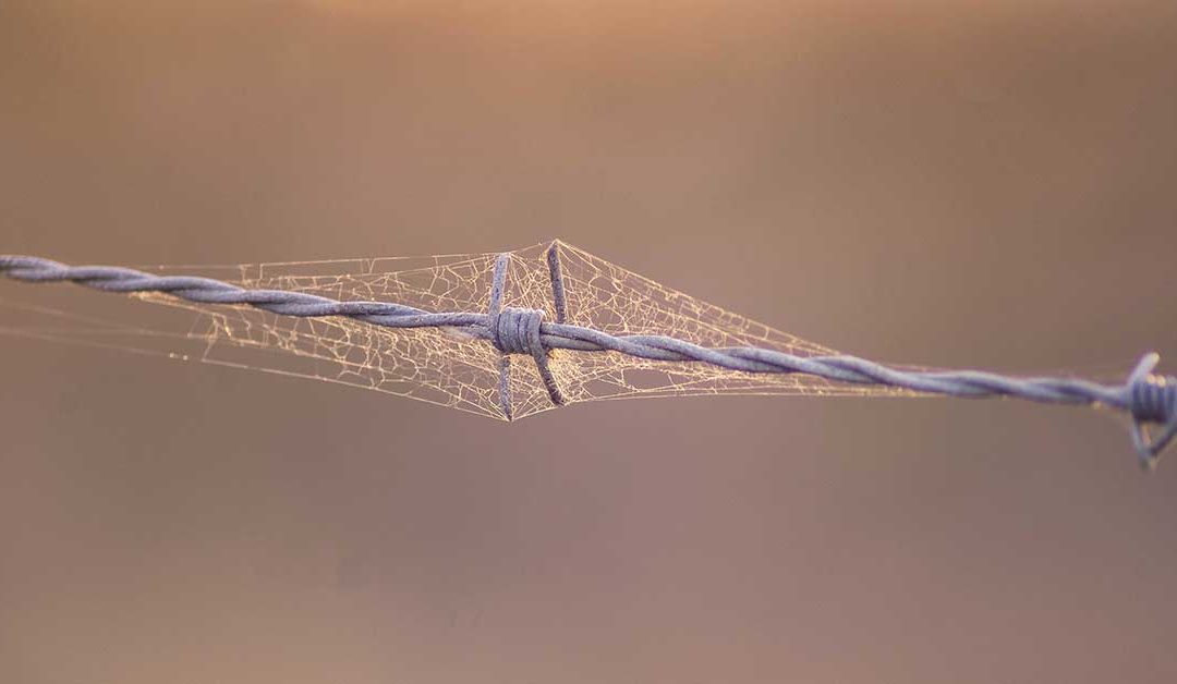 Imagineering: ReWeaving the Human Fabric with Miki Kashtan