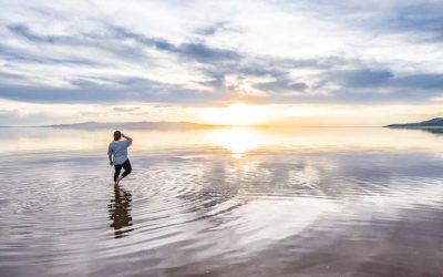 Hero, Sleepwalker or Manipulator? Our Choice in the Game of Life…
