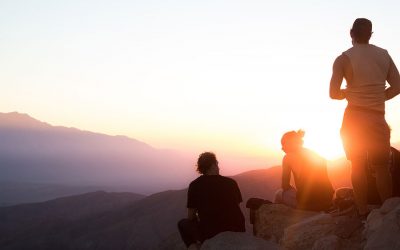 What is Conscious Evolution?