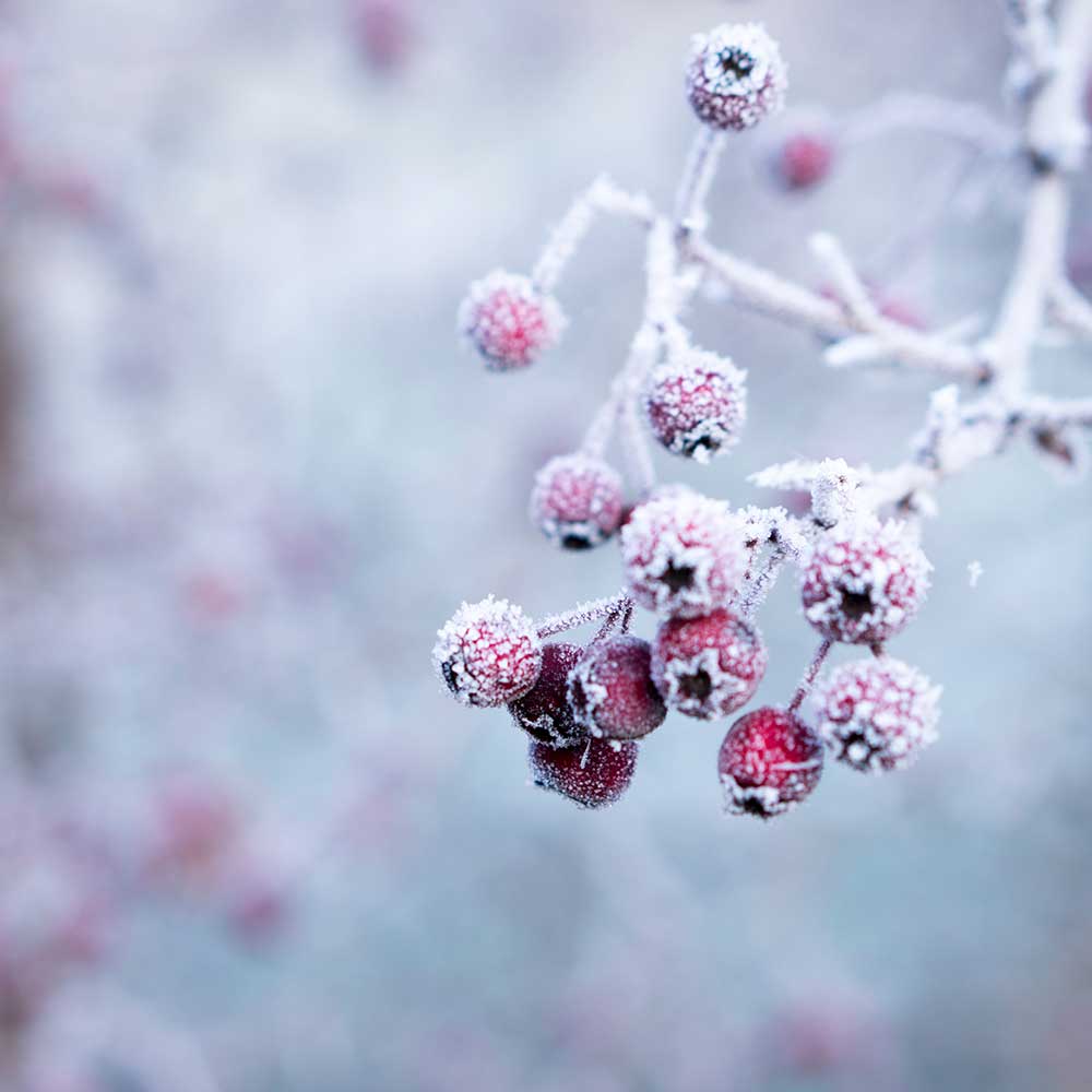 galina-n-AgWVcQz1bOA-unsplash-1000