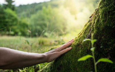 Eco-Spirituality – Exploring Deep in the Woods of the Divine with Woodford Roberts and Rupert Read