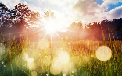 Meeting the Spirit of the Land: exploring Spirituality in Farming with biodynamic grower, André Tranquilini