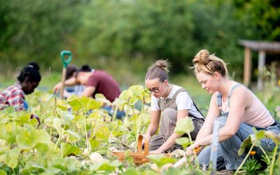 Turning waste into wellbeing, wildlife, food and forests: Bringing permaculture to schools with Elliot Riley