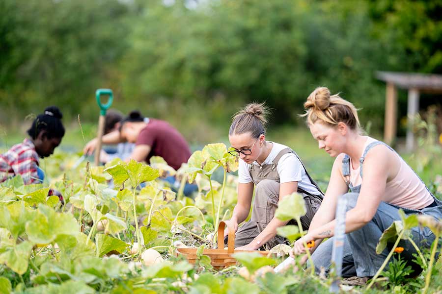 Turning waste into wellbeing, wildlife, food and forests: Bringing permaculture to schools with Elliot Riley