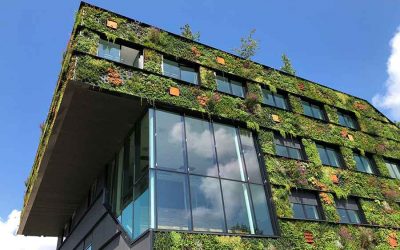 City Repair: Planet Repair: Human Repair