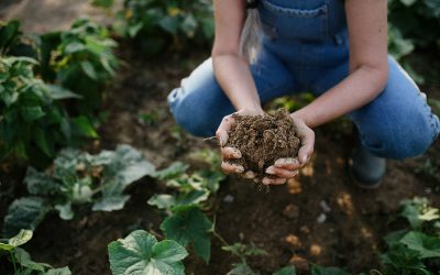 Building Soil: Healing the Earth: Feeding Humanity