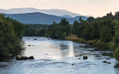 ReWilding our Water: From Rain to River to Sewer and back with Tim Smedley, author of The Last Drop