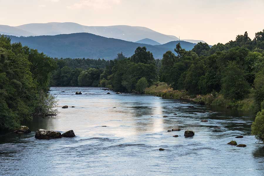 ReWilding our Water: From Rain to River to Sewer and back with Tim Smedley, author of The Last Drop