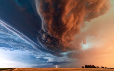 Still In the Eye of the Storm: Finding Calm and Stable Roots with Dan McTiernan of Being EarthBound