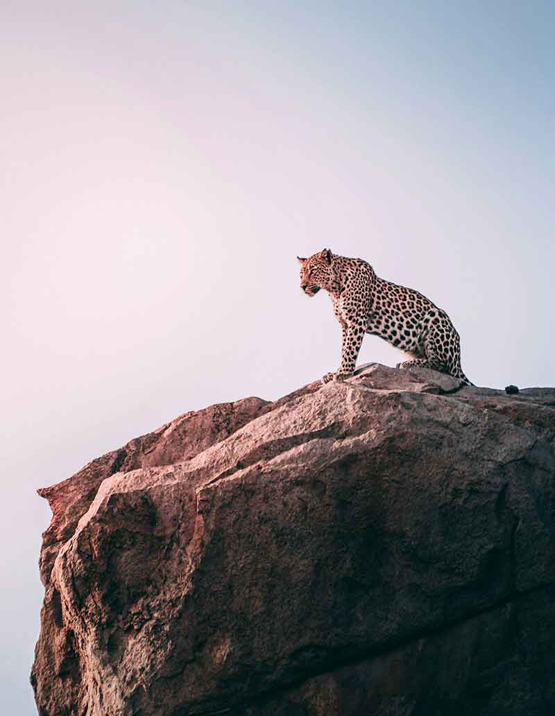 geranimo-wYy3rvvgjAU-unsplash-800