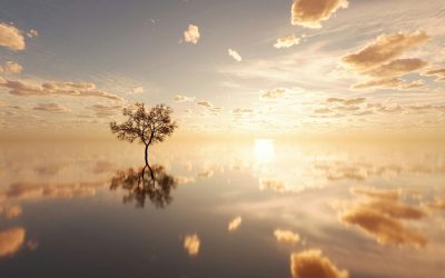 A Dawning Mind: Exploring the science of spirituality with Dr James Cooke