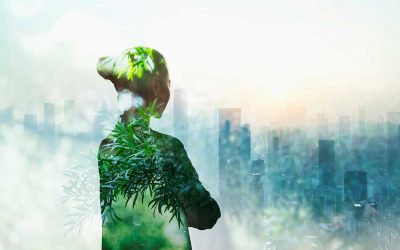 Step by Radical Step: The Route to a Flourishing New Economy with Colleen Schneider