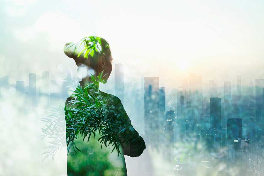 Step by Radical Step: The Route to a Flourishing New Economy with Colleen Schneider