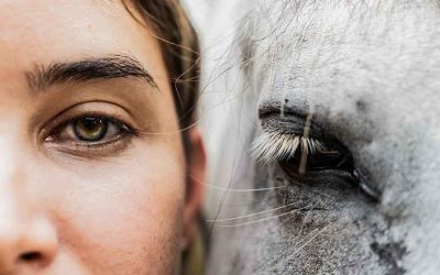 ReWilding our Horses, Rewilding our Souls with Kelly Wendorf of EQUUS