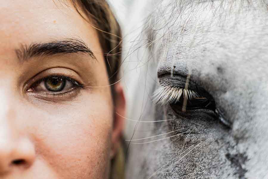 ReWilding our Horses, Rewilding our Souls with Kelly Wendorf of the EQUUS Academy