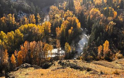 Walking the wild, mythic Edge of Being with visionary elder and soul initiator Bill Plotkin