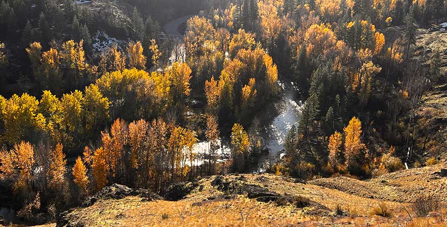 Walking the wild, mythic Edge of Being with visionary elder and soul initiator Bill Plotkin