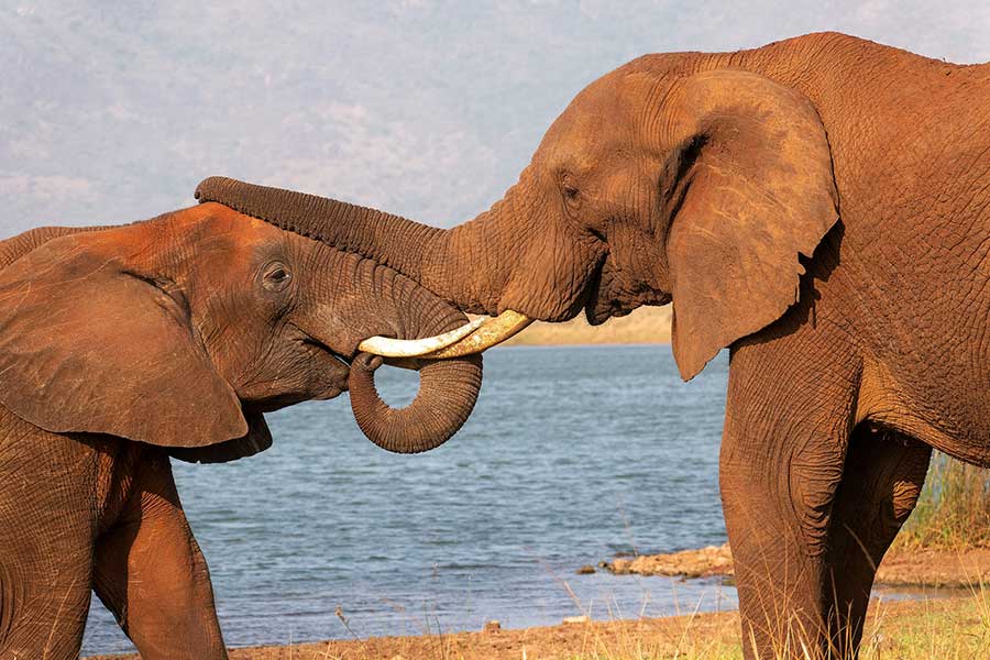 Dance of the Spiritual Warrior: Balancing Love and Power with Jamie Bristow