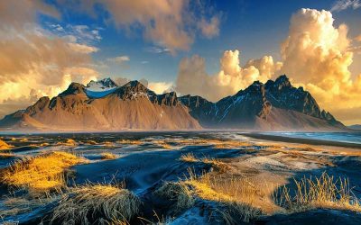 Wild new stories: Weaving New Myths for a New Way of Being with Ally Kingston of Agency for Nature