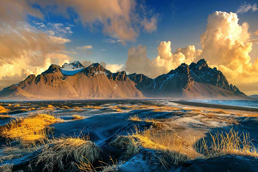 Wild new stories: Weaving New Myths for a New Way of Being with Ally Kingston of Agency for Nature