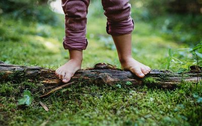 Barefoot Economics in a world of Hobnailed Boots with storyteller Inze Aponte