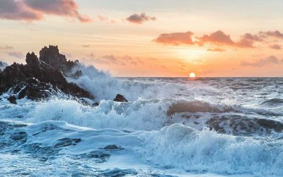 Thoughts from the Edge: Navigating the turbulent seas of the incoming year with grace and courage