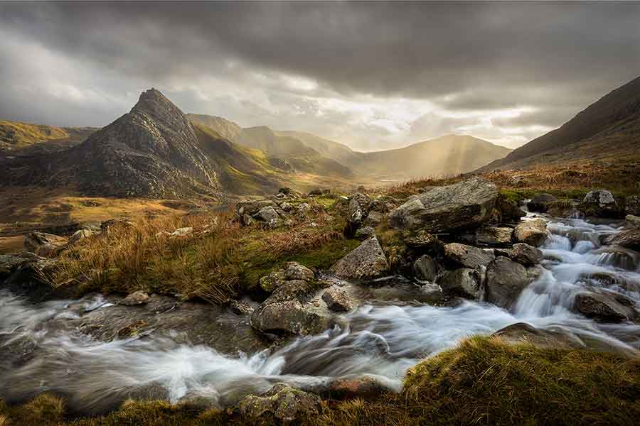 Laws of Nature, Laws with Nature: Nature on Board with Alexandra Pimor of the Earth Law Center