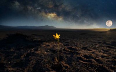 What ought we be? Hope, despair and the resilience of life with Professor David Farrier