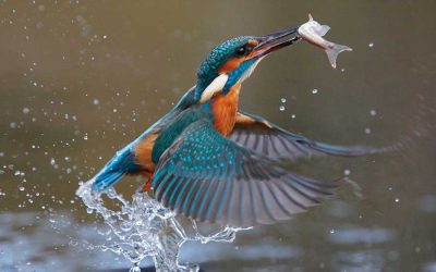 Water, Water Everywhere and none of it fit to drink! With Claire Kirby of Up Sewage Creek – ahead of World Water Day