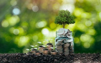 Playing the (New) Money Game – how to recreate sustainable money with Stef Kuypers of Happonomy