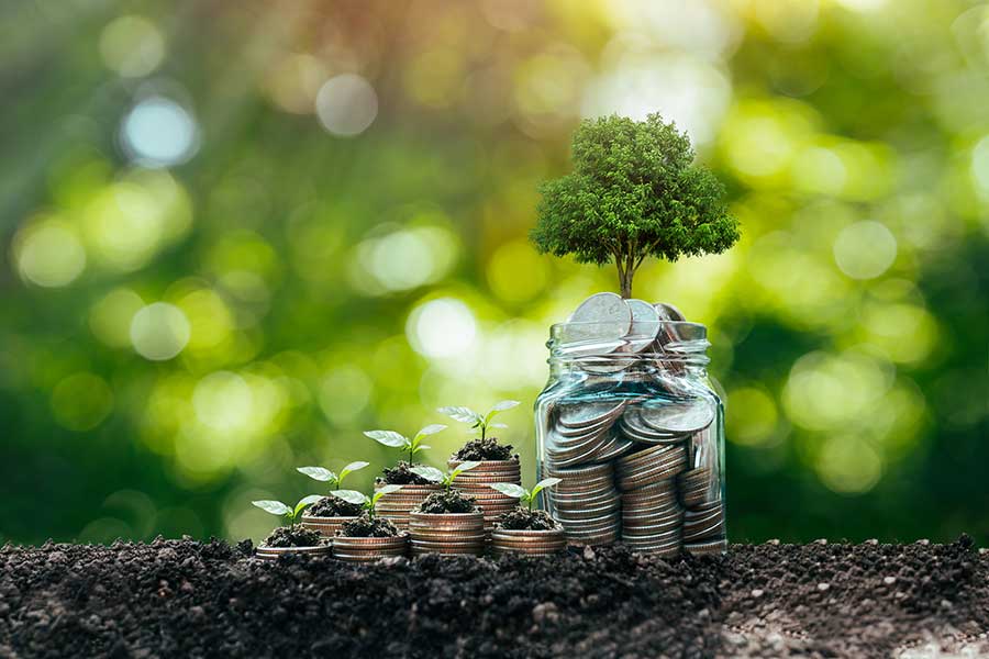 Playing the (New) Money Game – how to recreate sustainable money with Stef Kuypers of Happonomy