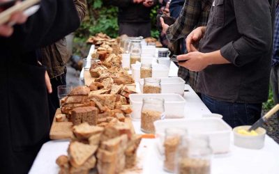 Breaking open the Story of Bread with Abby Rose of Farmerama