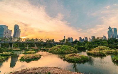 Design for the Ineffable: Crafting a Flourishing world with Dr Jenna Mikus