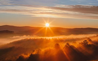 A New Earth Dawning: Biological Elegance, the health of humanity and OriginEarth with Zach Bush, MD
