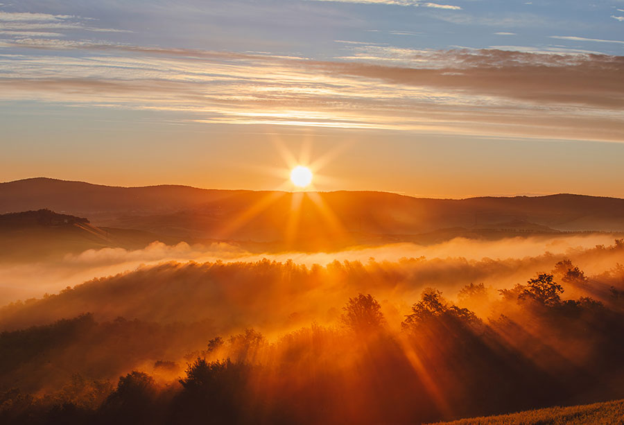 A New Earth Dawning: Biological Elegance, the health of humanity and OriginEarth with Zach Bush, MD